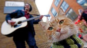 Известную историю бездомного музыканта и бродячего кота экранизируют