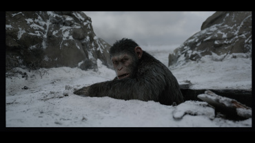 Фантастический экшен "Планета обезьян: Война" отлично стартовал в Китае