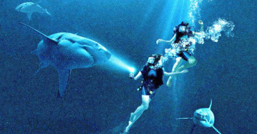 Триллер о нападении акул "Синяя бездна" получит сиквел