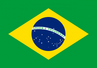 Кинопрокат Бразилии: Итоги 2015 года