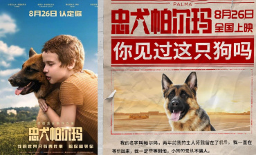 Фильм «Пальма» выходит в прокат в Китае