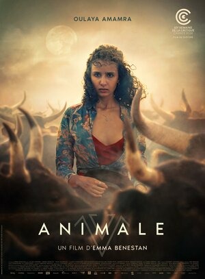 Постер: ANIMALE