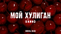 Кинокомпания Вольга экранизирует бестселлер Алены Черничной «Мой хулиган»