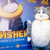 В столице представили мультфильм «10 жизней» - Новости | Кинопортал ...