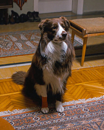 3/3  - Кадры из фильма: ДВА МИРА, ОДНО ЖЕЛАНИЕ