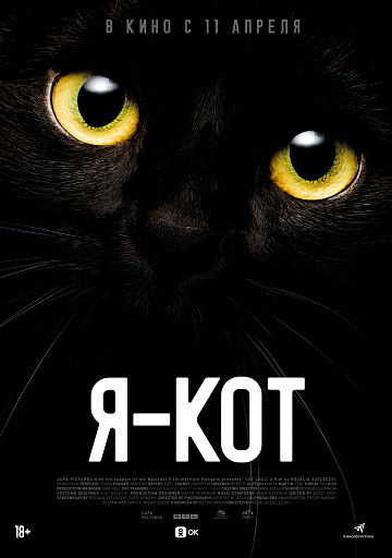 Постер: Я - КОТ