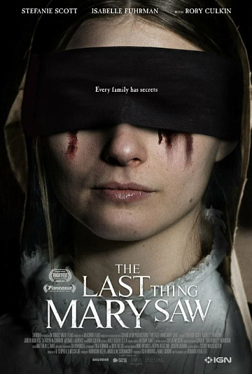 Постер: THE LAST THING MARY SAW