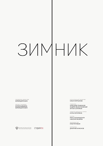 Постер: ЗИМНИК Постер: ЗИМНИК