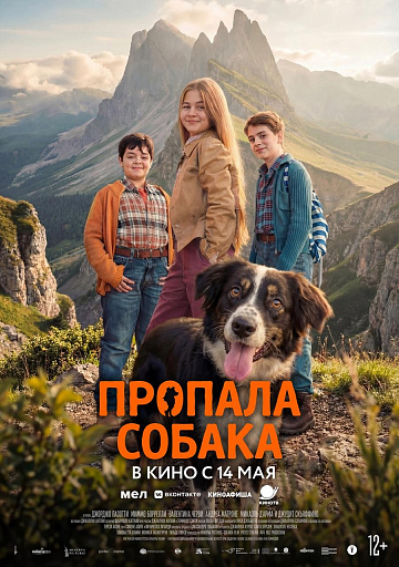 Постер: ПРОПАЛА СОБАКА