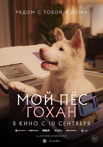 Постер: МОЙ ПЕС ГОХАН