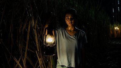 1/3  - Кадры из фильма: САХАРНАЯ ФАБРИКА