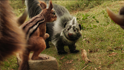 3/3  - Кадры из фильма: ПУШИСТЫЕ КАНИКУЛЫ