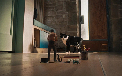 3/3  - Кадры из фильма: ДОРОГАЯ, Я УМЕНЬШАЮСЬ