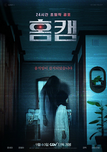 Постер: ДОМАШНЯЯ КАМЕРА